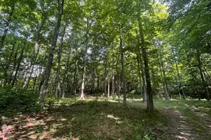 8576 Dillman Rd, Camden, OH 45311 - Photo 55