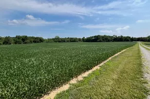 8576 Dillman Rd, Camden, OH 45311 - Photo 65