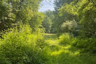 8576 Dillman Rd, Camden, OH 45311 - Photo 49