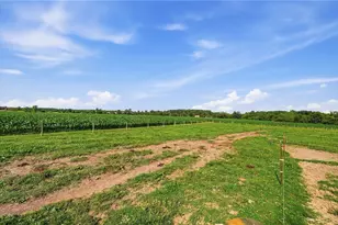1040 Jeffrey Rd, Oregonia, OH 45054 - Photo 67