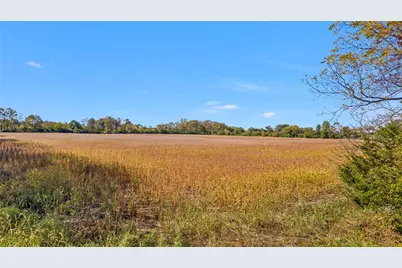 0 Pekin Road, Clear Creek Township, OH 45036 - Photo 9