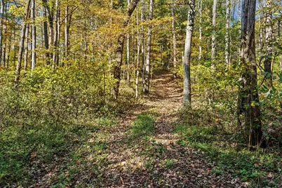 4776 Brier Ridge Road, West Union, OH 45693 - Photo 23