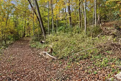 4776 Brier Ridge Road, West Union, OH 45693 - Photo 33