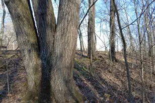 1459 State Route 73, Peebles, OH 45660 - Photo 1