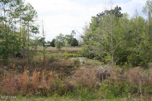 3252 Triple Ln, Caryville FL  32425-6406 exterior