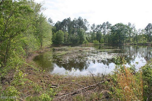 3252 Triple Ln, Caryville FL  32425-6406 exterior