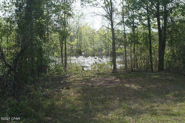 3252 Triple Ln, Caryville FL  32425-6406 exterior