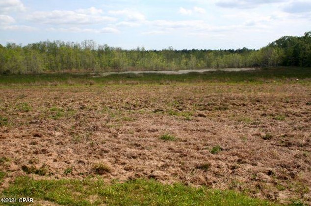 3252 Triple Ln, Caryville FL  32425-6406 exterior