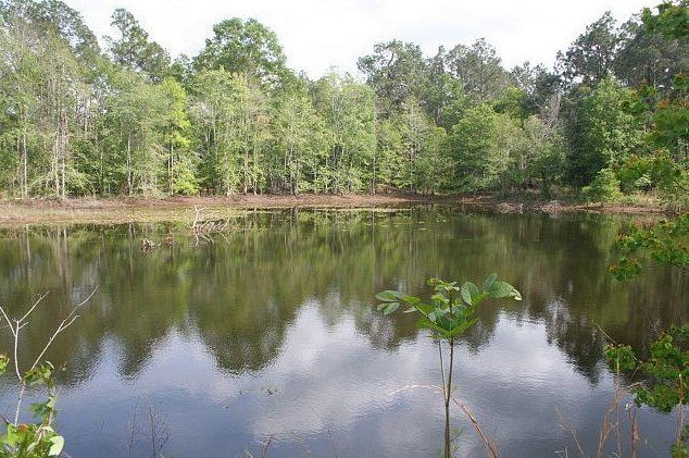 3252 Triple Ln, Caryville FL  32425-6406 exterior