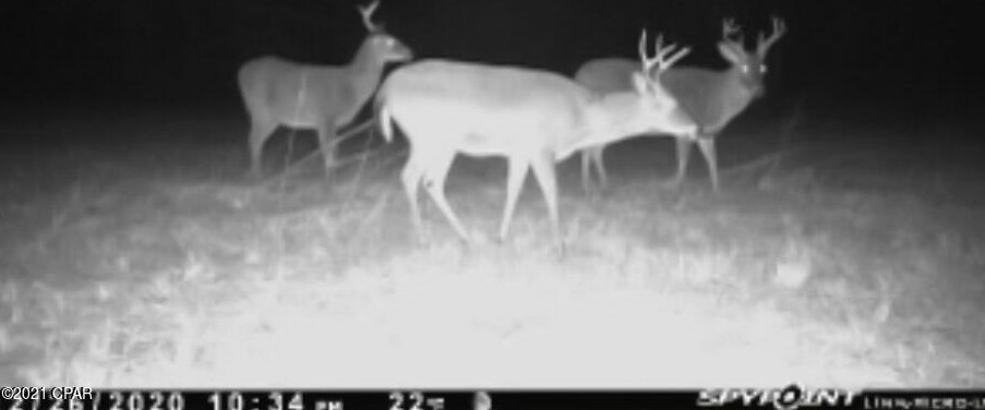 1780 Steverson Rd, Caryville FL  32425-5604 exterior