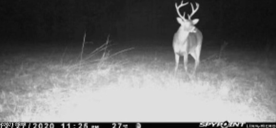 1780 Steverson Rd, Caryville FL  32425-5604 exterior