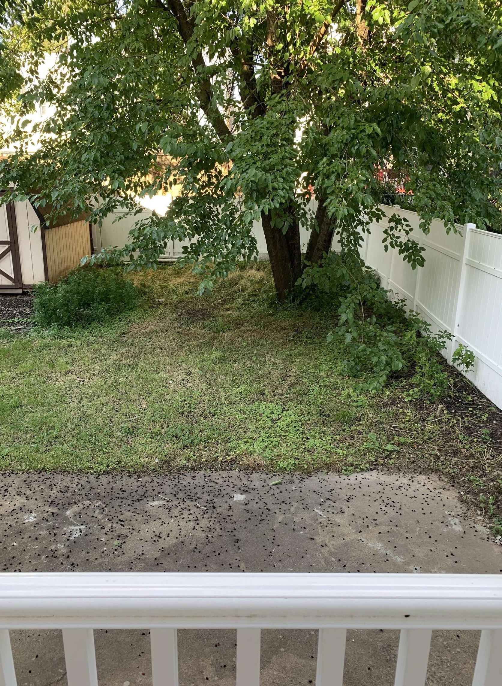 216 Custer Ave, Jersey City NJ 07305-1705 exterior