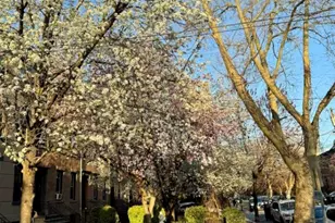 298 4th St, Jersey City, NJ 07302 - Photo 13