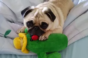 7002 Blvd E, Guttenberg, NJ 07093 - Photo 31