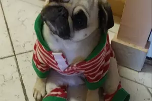 7000 Blvd E, Guttenberg, NJ 07093 - Photo 43