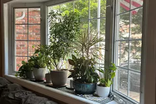 100 Linnet St, Bayonne, NJ 07002 - Photo 11