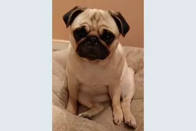 7000 Blvd East #22A, Guttenberg, NJ 07093 - Photo 31