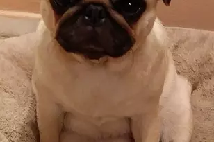 7000 Blvd E, Guttenberg, NJ 07093 - Photo 31