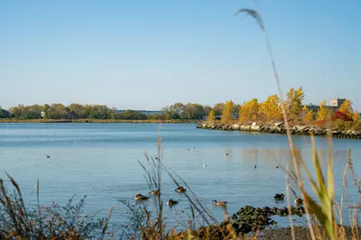 22 Redwood St, Jersey City, NJ 07305 - Photo 15