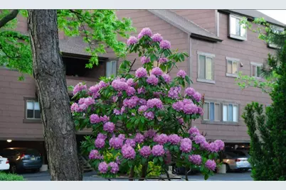 530 Teal Plaza #530, Secaucus, NJ 07094 - Photo 21