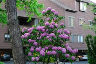 530 Teal Plaza, Secaucus, NJ 07094 - Photo 21