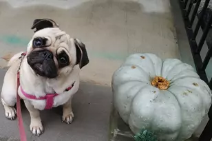 7000 Blvd E, Guttenberg, NJ 07093 - Photo 41