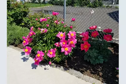 4-10 St Francis St, Newark, NJ 07105 - Photo 17