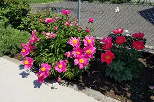 4-10 St Francis St, Newark, NJ 07105 - Photo 17