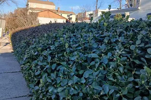 1212 89th St, North Bergen, NJ 07047 - Photo 39