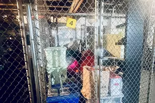 126 Webster Ave, Jersey City, NJ 07307 - Photo 13