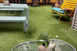 20 Webster Ave, Jersey City, NJ 07307 - Photo 19