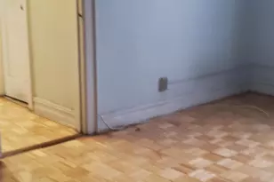 56 Glenwood Ave, Jersey City, NJ 07306 - Photo 21