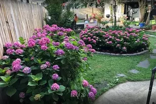 312 Monastery Pl, Union City, NJ 07087 - Photo 15