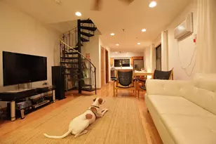 4905 Park Ave, Union City, NJ 07087 - Photo 13