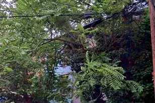 220 Garden St, Hoboken, NJ 07030 - Photo 9