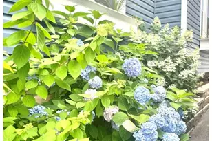 20 Colonial Rd, Morristown, NJ 07960 - Photo 31