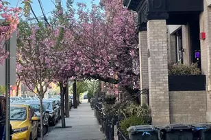 1009 Willow Ave, Hoboken, NJ 07030 - Photo 29