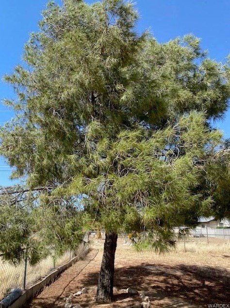 2495 Devlin Ave, Kingman AZ 86409-2206 exterior