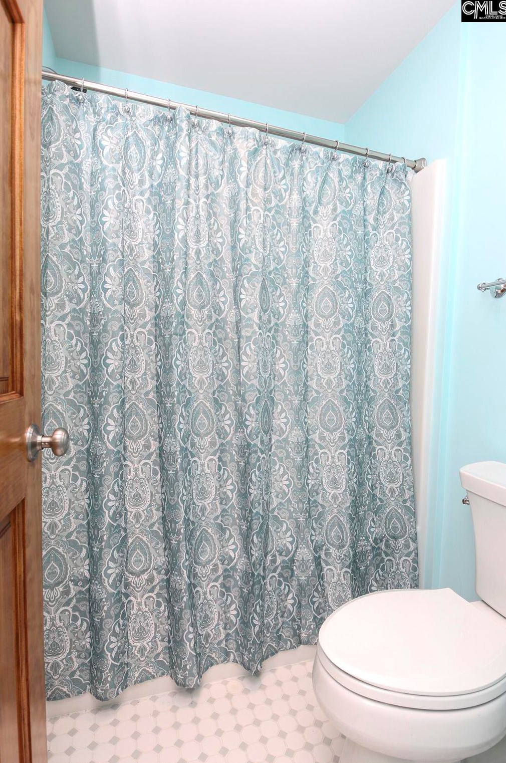 1706 Mt Willing Rd, Batesburg-Leesville SC  29006-8351 exterior