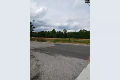 3907 Mineral Springs Road, Lexington, SC 29073 - Photo 1