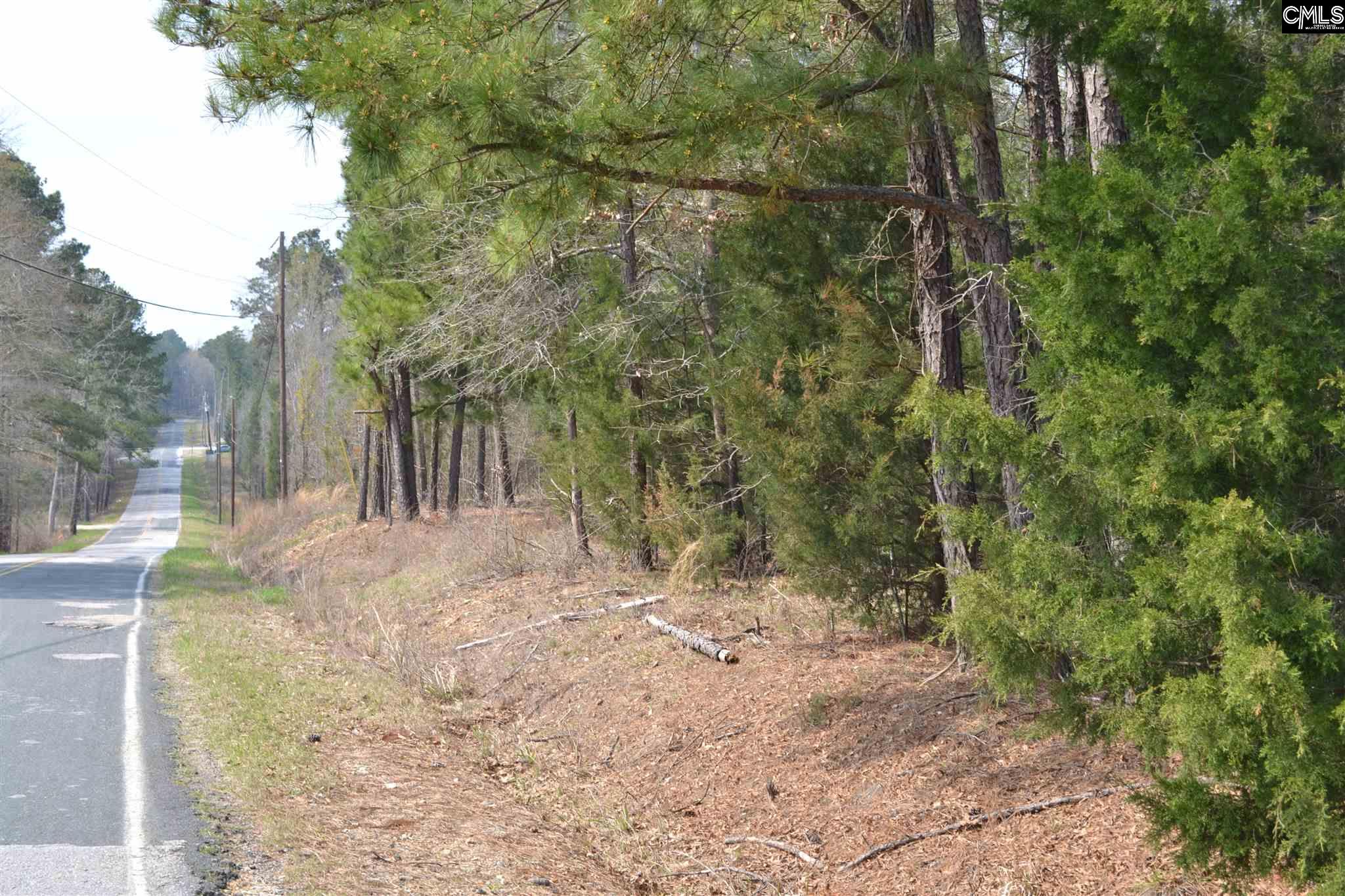 00 Bickley Rd, Irmo, SC 29063 MLS 536532 Coldwell Banker