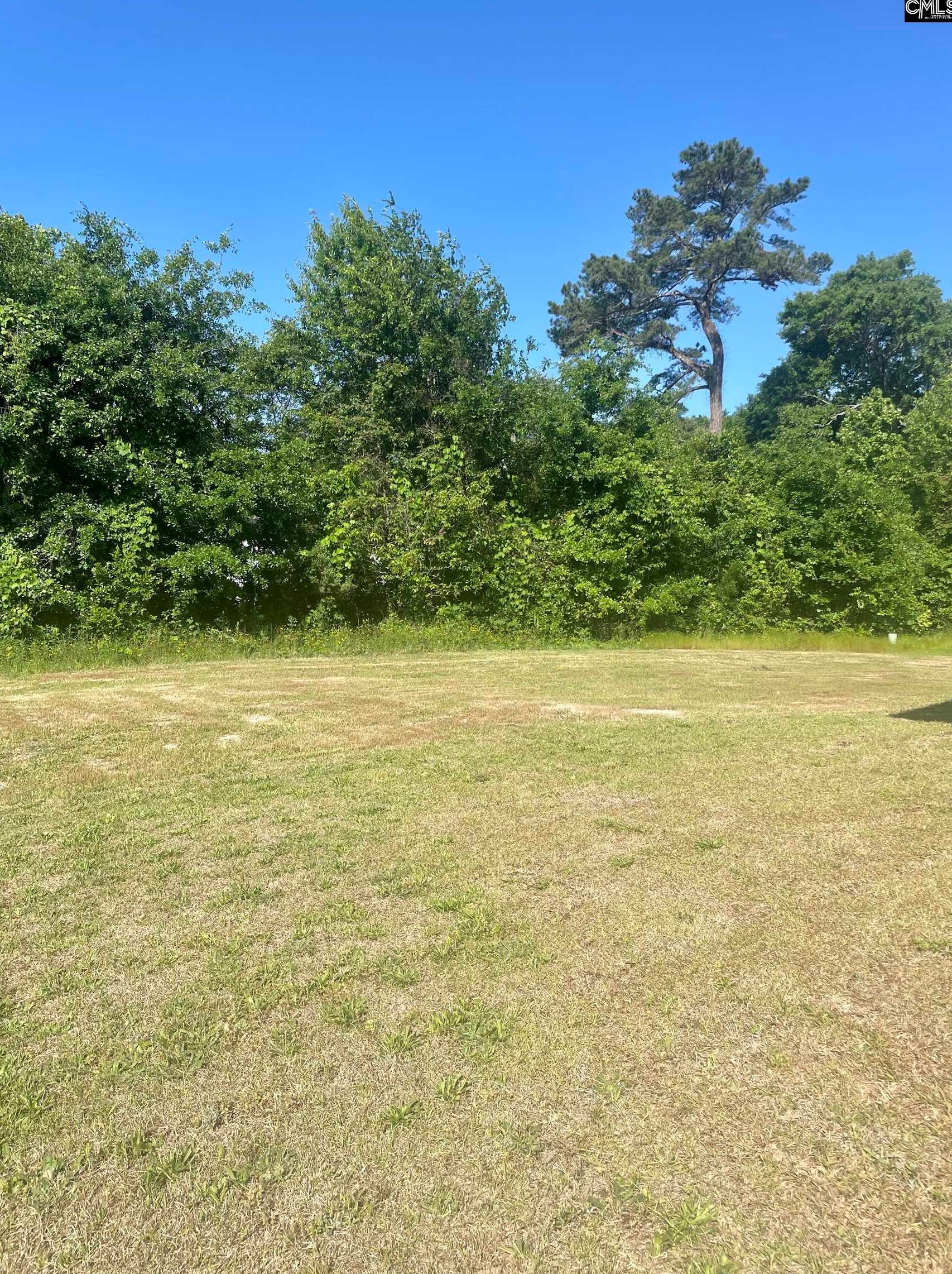 1517 Bywood Dr, Columbia SC 29223-3639 exterior