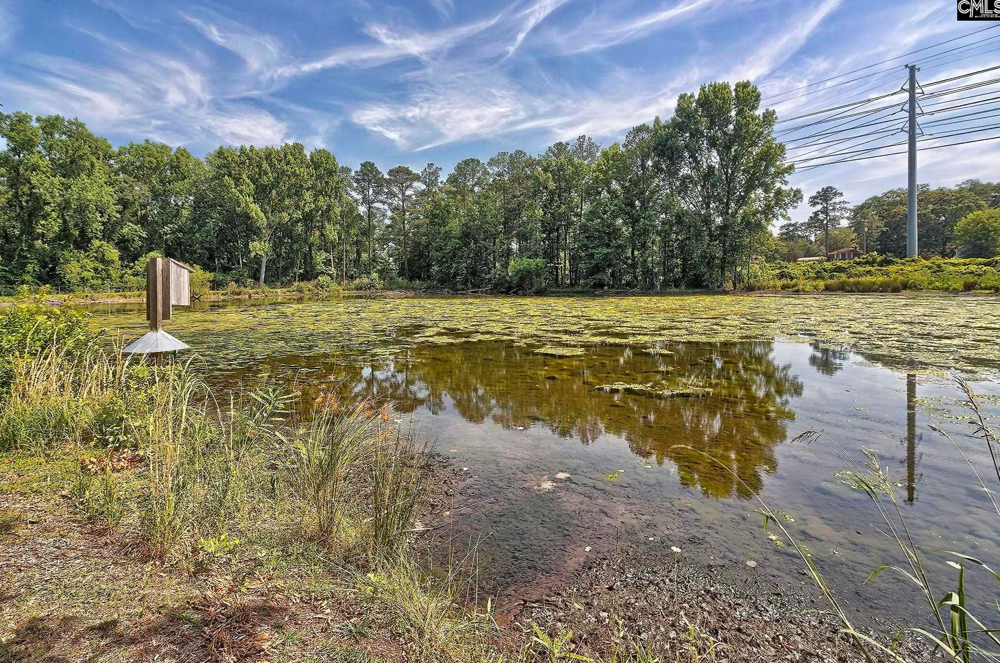 149 Lakeview Dr, Cayce-West Columbia, SC 29169
