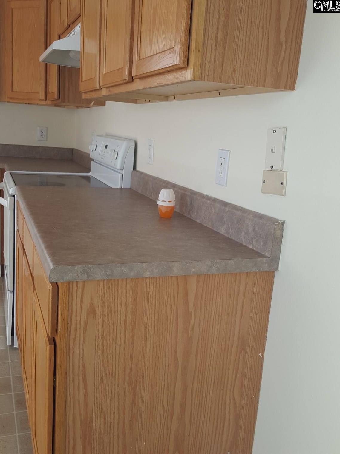 221 Fox Grove Cir, Columbia SC  29229-7171 exterior