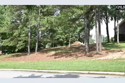 104 Bay Pointe Drive, Chapin, SC 29036 - Photo 3