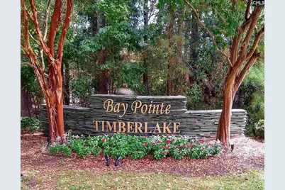 104 Bay Pointe Drive, Chapin, SC 29036 - Photo 1
