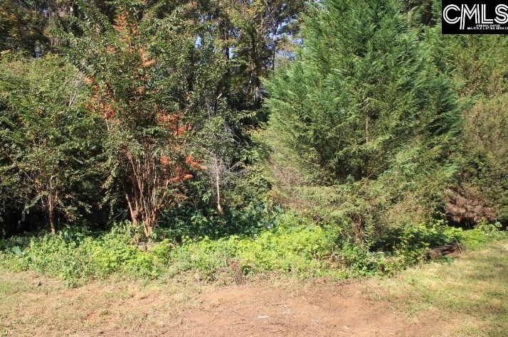 1916 Berkshire Dr, Columbia SC 29210-6841 exterior