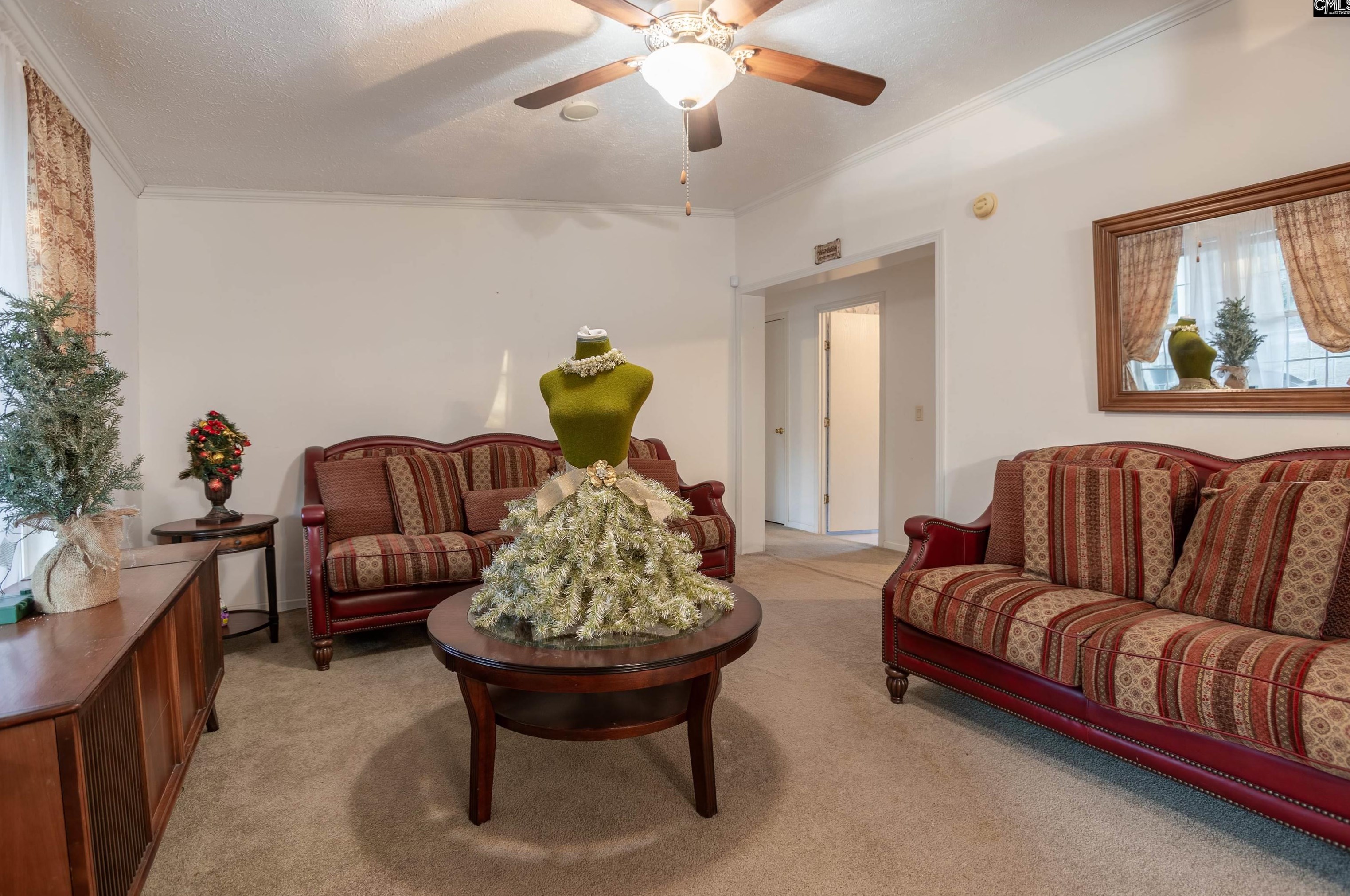417 Wl St, Batesburg-Leesville SC  29070-7601 exterior