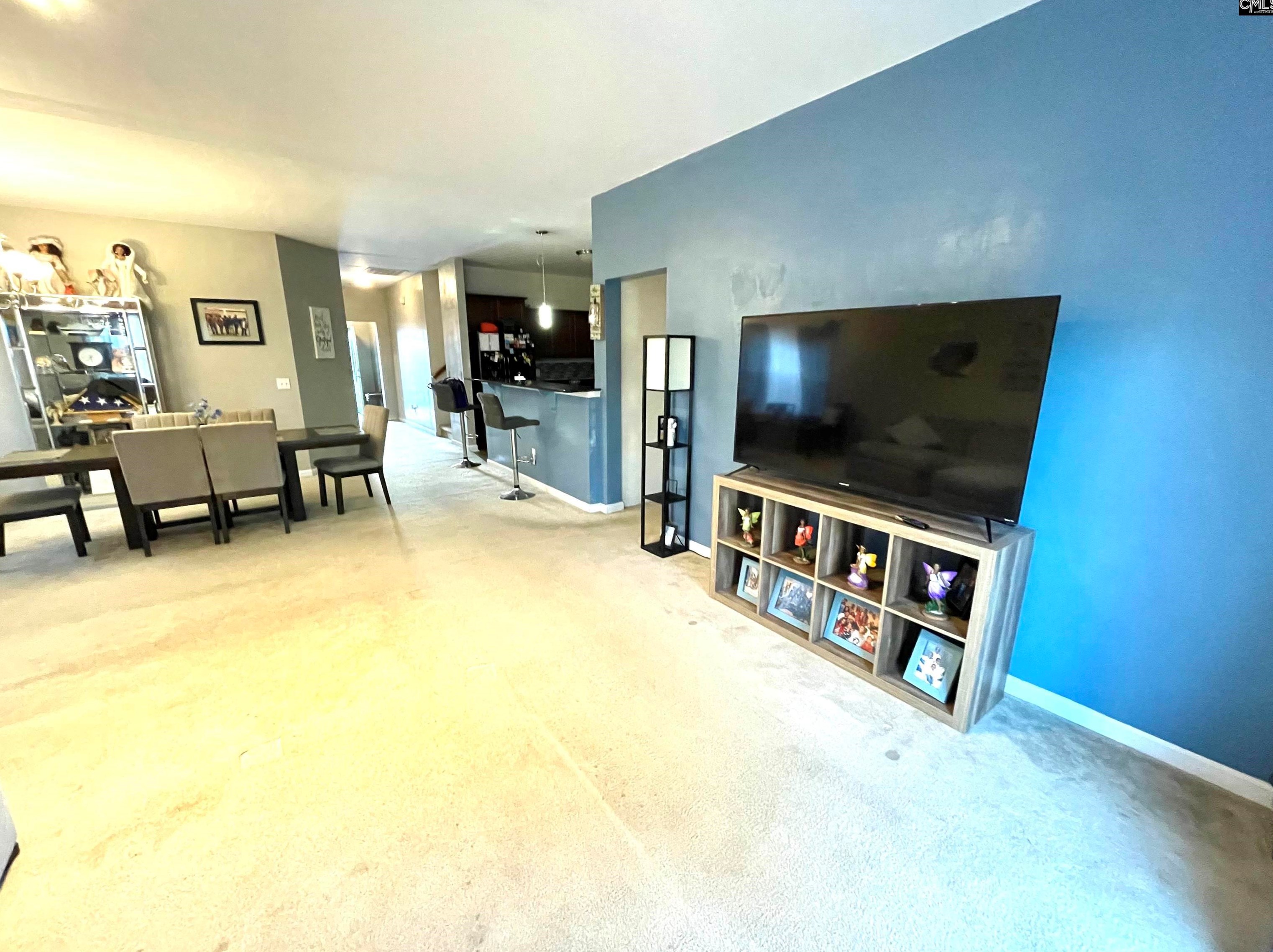 234 Longtown Pl Dr, Columbia SC 29229-6854 exterior