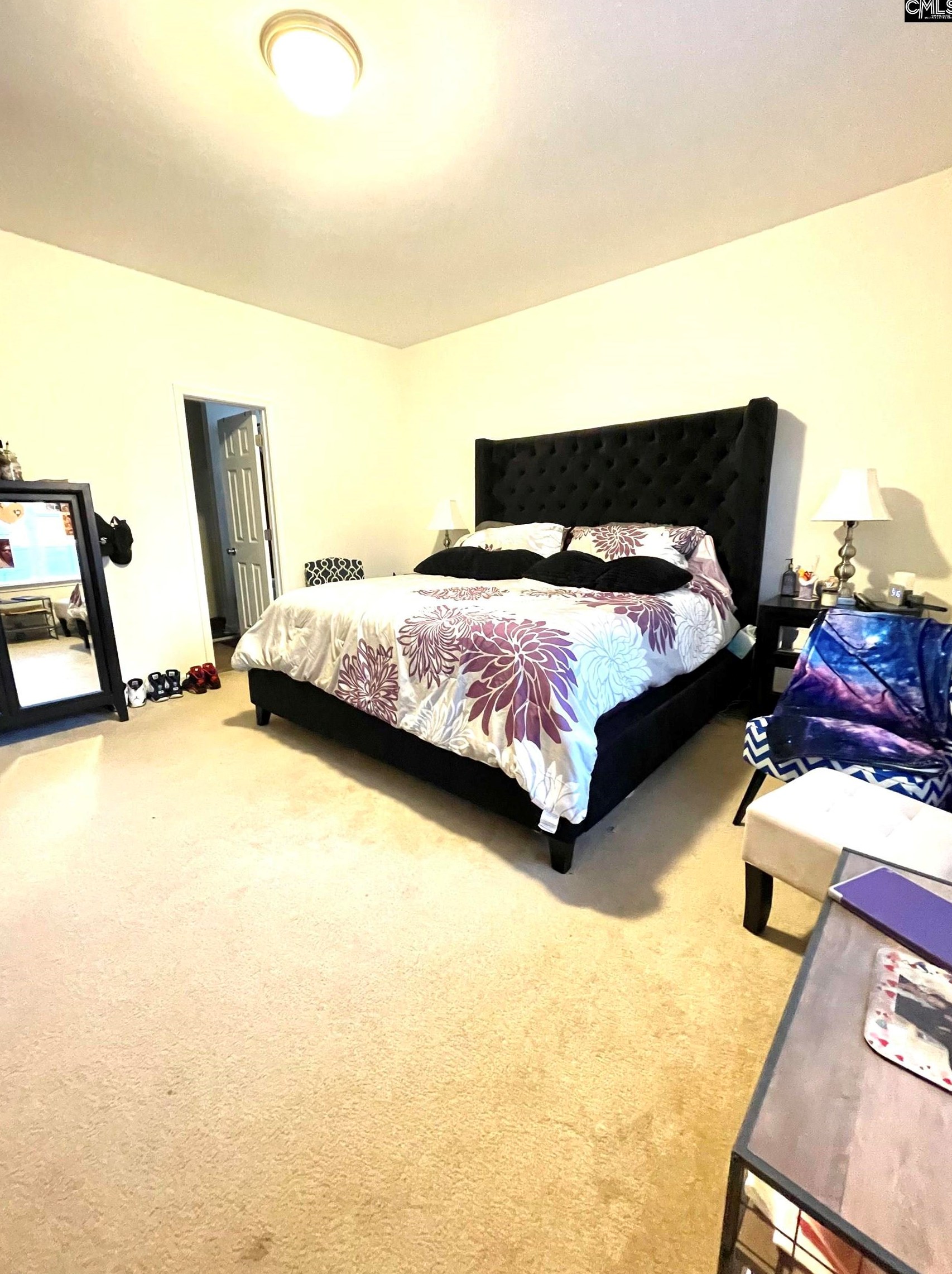 234 Longtown Pl Dr, Columbia SC 29229-6854 exterior